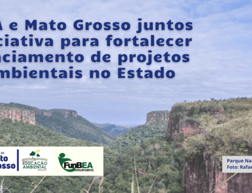 FunBEA e Mato Grosso juntos em iniciativa para fortalecer o financiamento de projetos socioambientais no Estado
