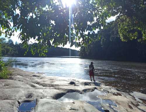 O Vale do Ribeira e a Riqueza de suas Águas