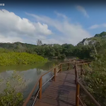 Screenshot 2022-04-06 at 15.24.24