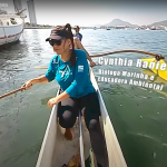 Screenshot 2022-04-06 at 15.41.56