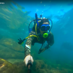 Screenshot 2022-04-06 at 15.50.06