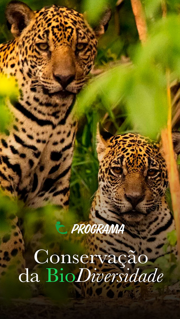 Biodiversidade - Fundo Brasileiro de Educação Ambiental