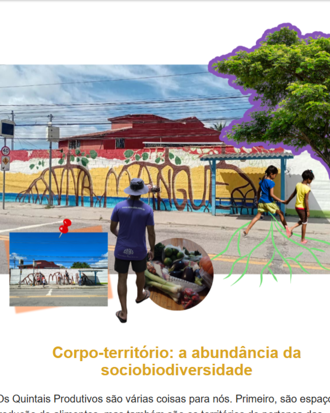 capa news site